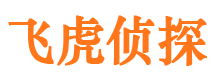 仁布市调查公司